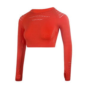 Women Seamless Gym Sets High Waist Gym Mesh Leggings Shirts Suit Long Sleeve Fitness Workout Sports Running Thin Sport Sets